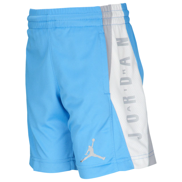 Jordan Takeover Shorts